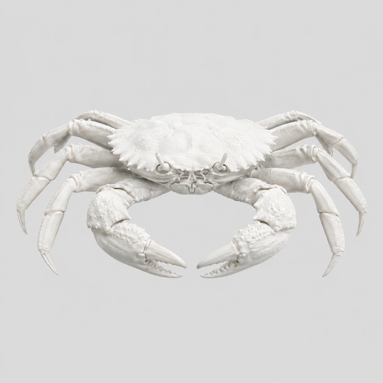 A crab rendered in plain, unpainted white
